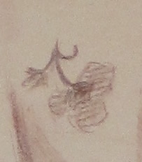 restauración sanguina sobre papel